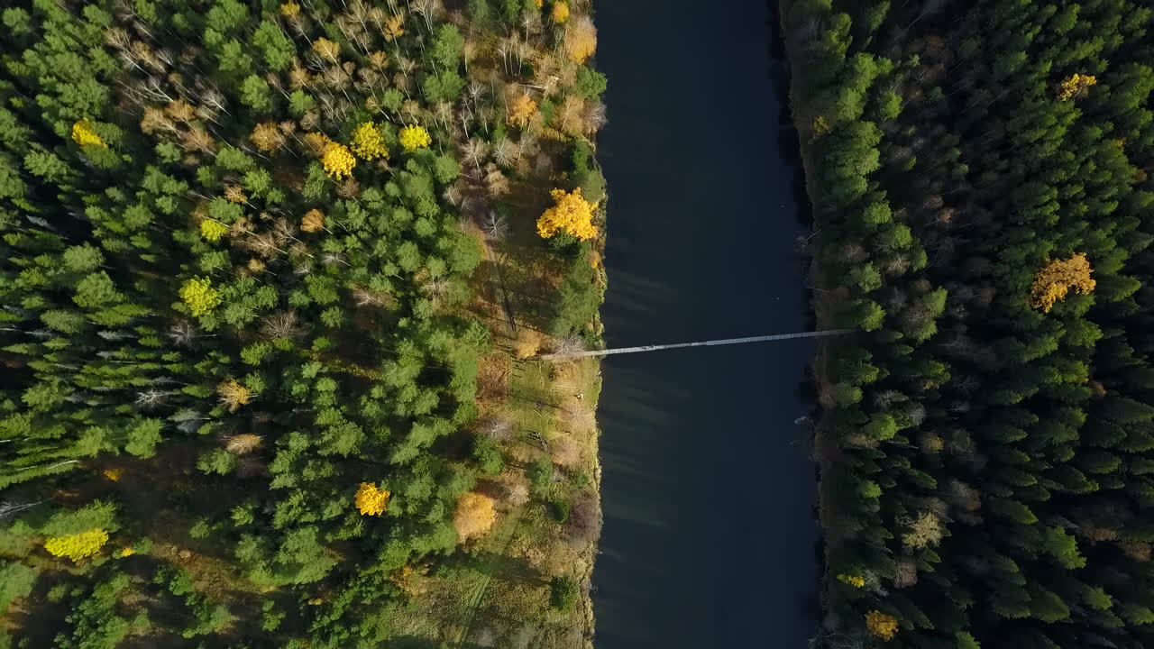bosque de otoño con río y puente