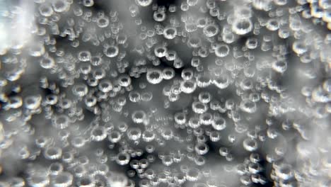 vaso recién vertido de agua de soda o bebida carbonatada - vista macro de la formación de burbujas y flotando hasta la parte superior