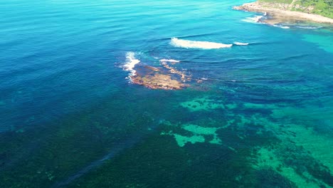 drone aerial shot of clear ocean reef with sandy rock seaweed beautiful day island coastline travel tourism spoon bay central coast nsw australia