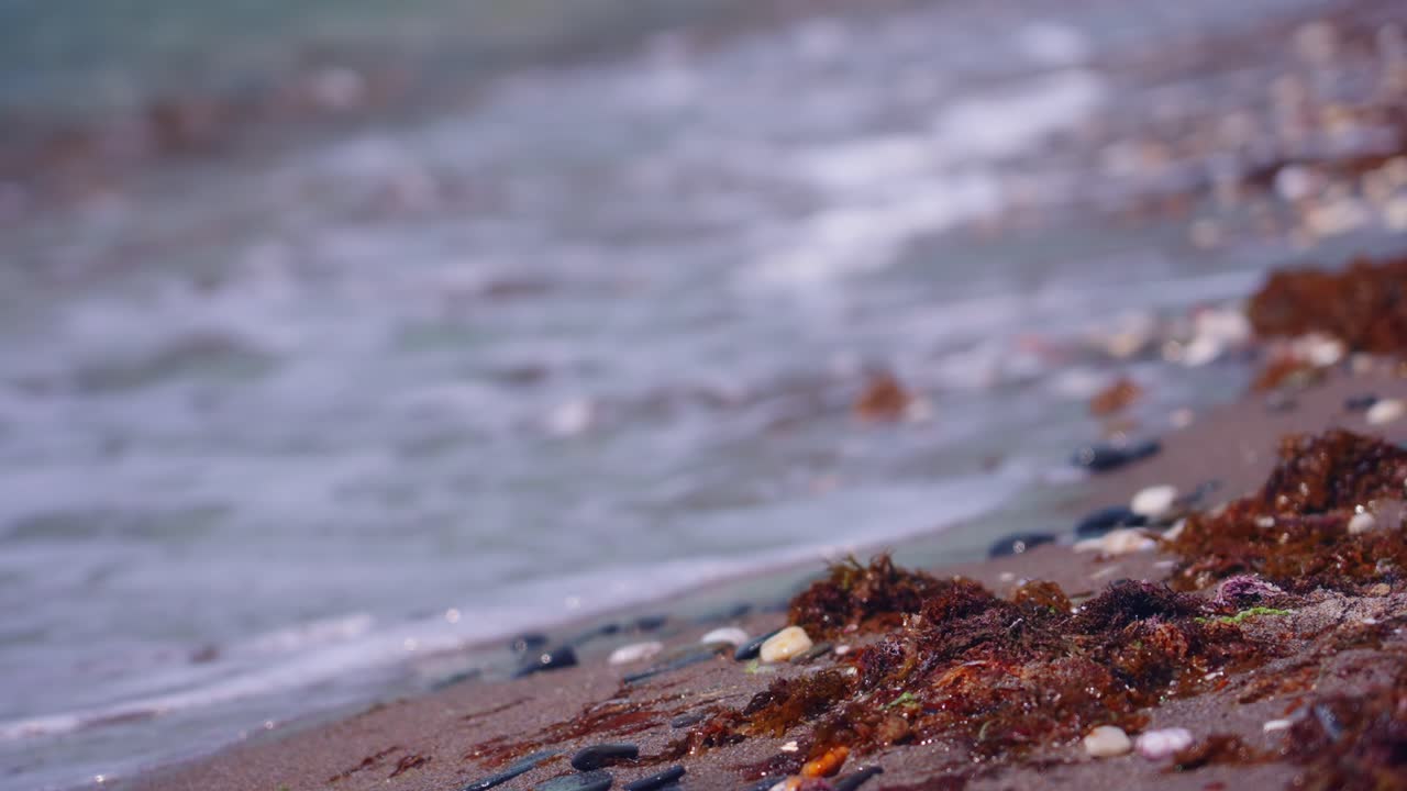 모래와 자갈에 초점을 맞춘 해변 해안선에 가까이