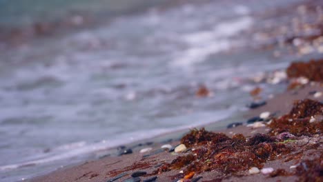 Nahaufnahme-Der-Strandküste-Mit-Fokus-Auf-Sand-Und-Kieselsteinen