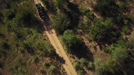 drone shot of a safari game drive vehicle with guests driving up a winding dirt road in an african game reserve