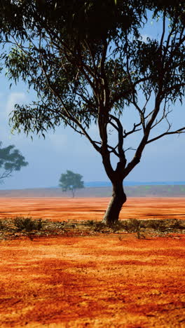 un árbol solitario se alza en un vasto campo de tierra roja bajo un cielo azul brillante