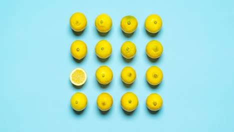 lemons aligned on a blue background. slicing lemons stop motion.