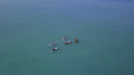 people stand-up paddleboarding in the ocean