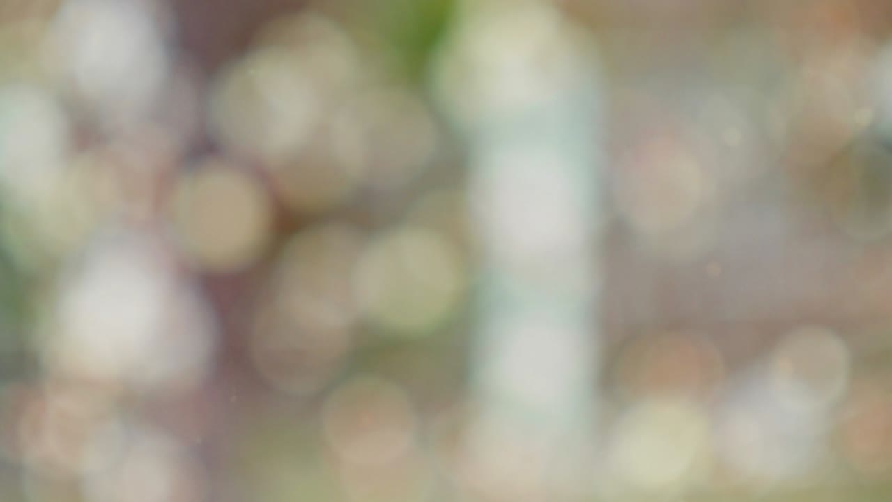 보케와 함께 추상적인 스프링 배경