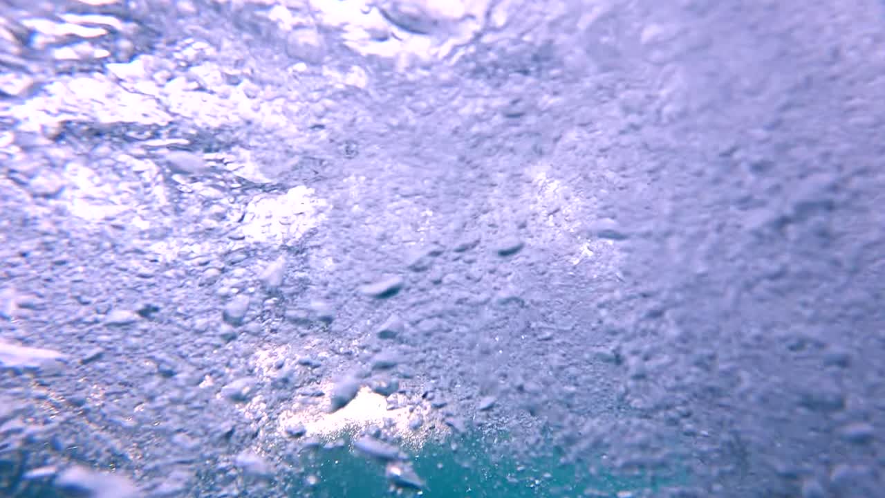 방어 물고기는 옆구리를 찔러 의기 양양하게 배에 올라갑니다