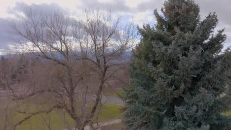 boom up to reveal suburban neighborhood in reno, nevada on a pretty winter day with clouds and sunshine and mountains on the horizon