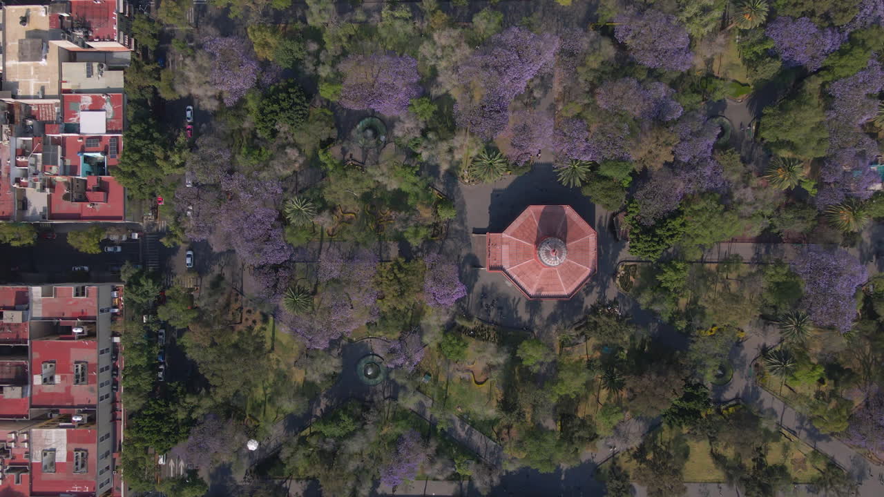 vista aérea de arriba hacia abajo la gente camina en el hermoso parque de primavera naturaleza con árboles en flor verdes y púrpuras en el centro de la ciudad y la terraza