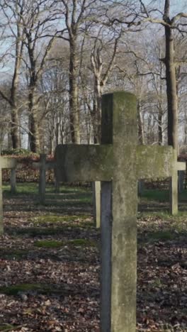 war cemetery in a winter woodscape