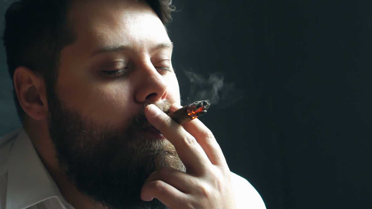 Brutal man smoking cigar. Handsome bearded man on serious face holding cigar in studio