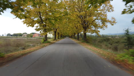 autumn road with yellow foliage trees aerial view