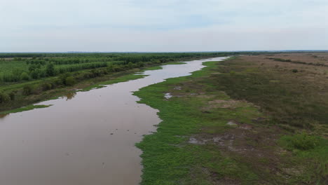 drone of lush wetlands and forest margin in parana delta showing vibrant green canopy, aerial establishing