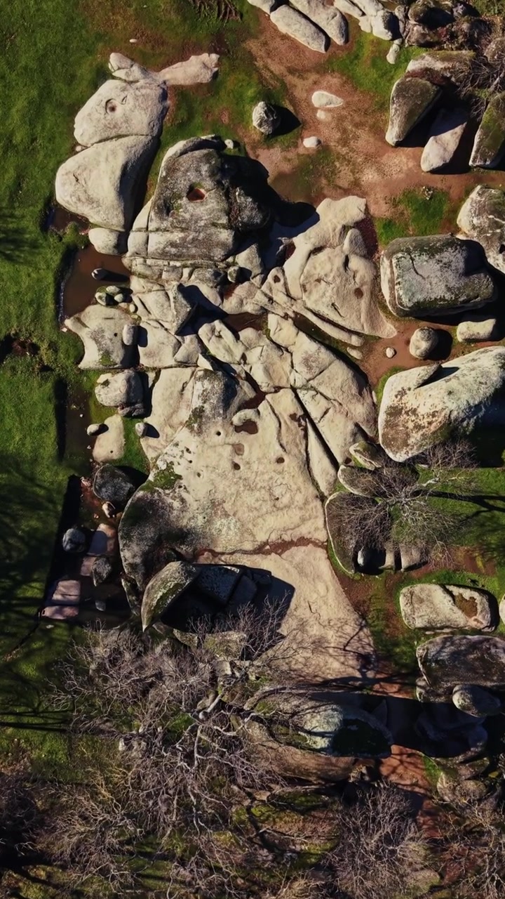 Vista di grandi rocce in un'area erbosa circondata da alberi durante il giorno