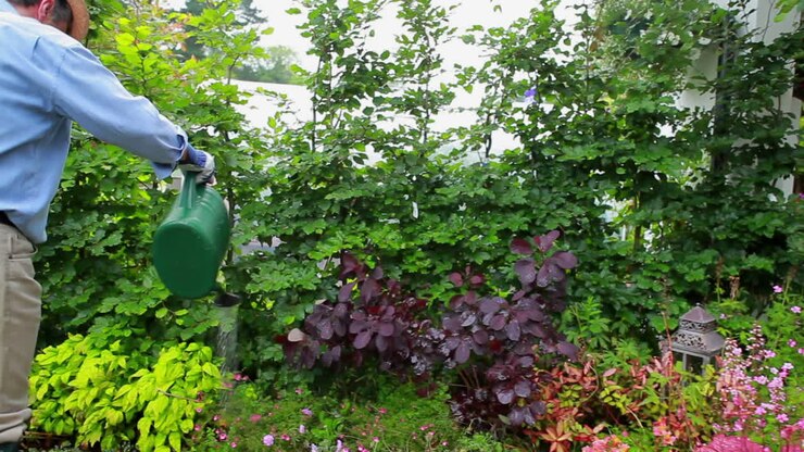 Man working at his garden