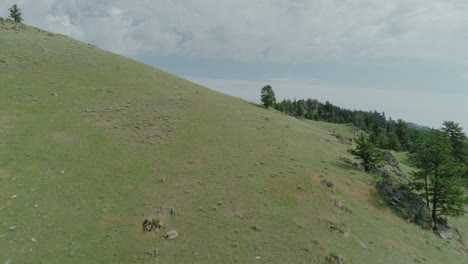 Low-sweeping-aerial-of-canyon-in-the-Bighorn-Mountains-of-Wyoming