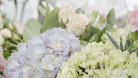 a variety flowers of different colors fresh from the garden