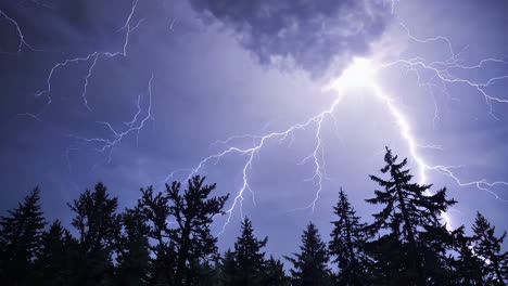 dark forest storm