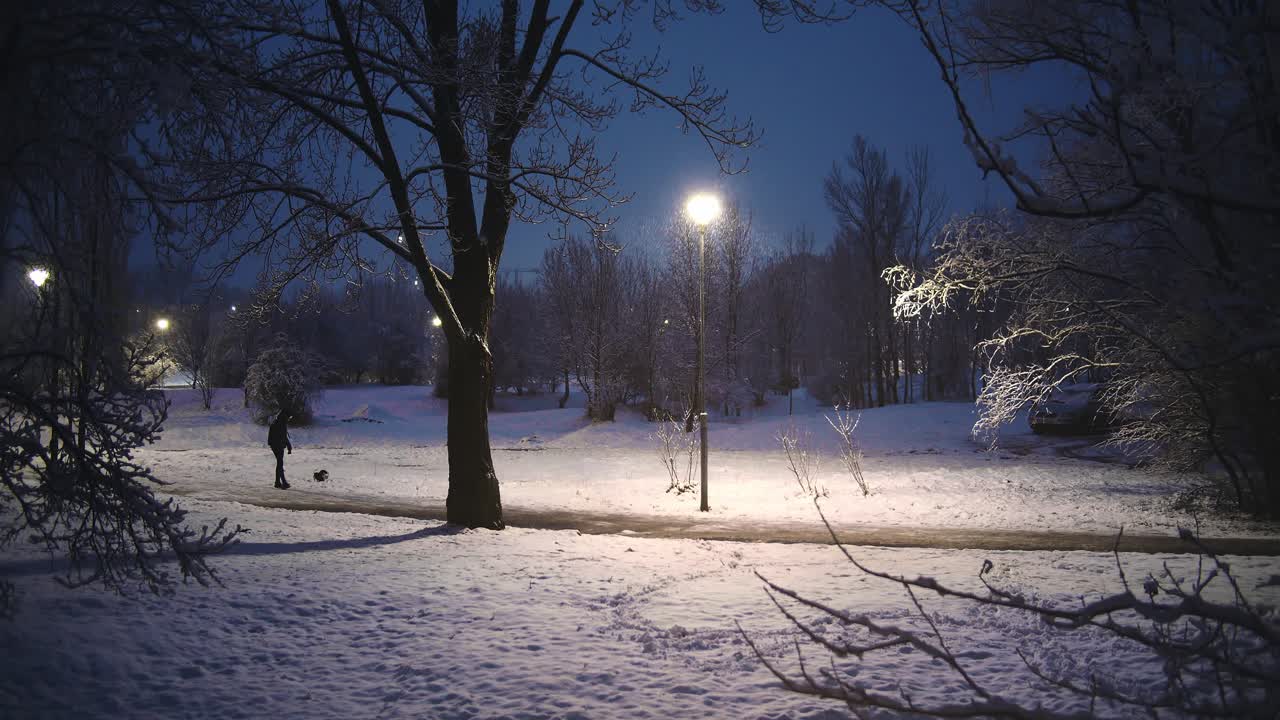 niño caminando alrededor de su perro azul noche nevada en parque vacío