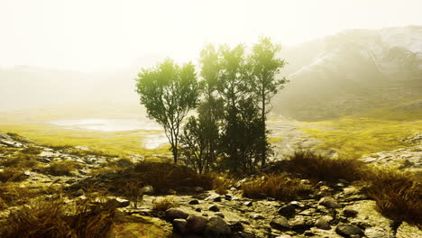 Scenic-landscape-with-steep-cliffs-and-trees-during-a-sunny-day