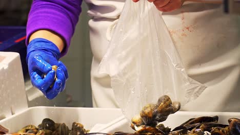 persona con guantes azules recogiendo un montón de caracoles en la mano, puerto barbate