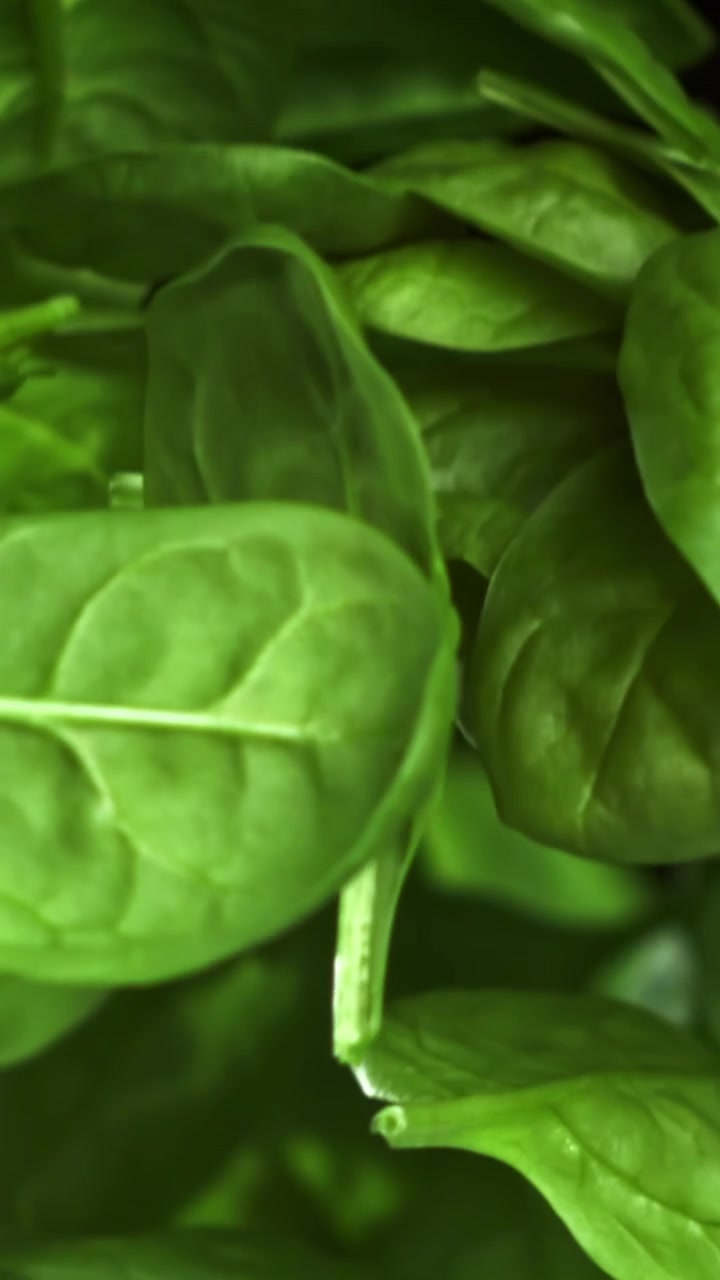 Foglie di spinaci di un verde vivace che cadono al rallentatore