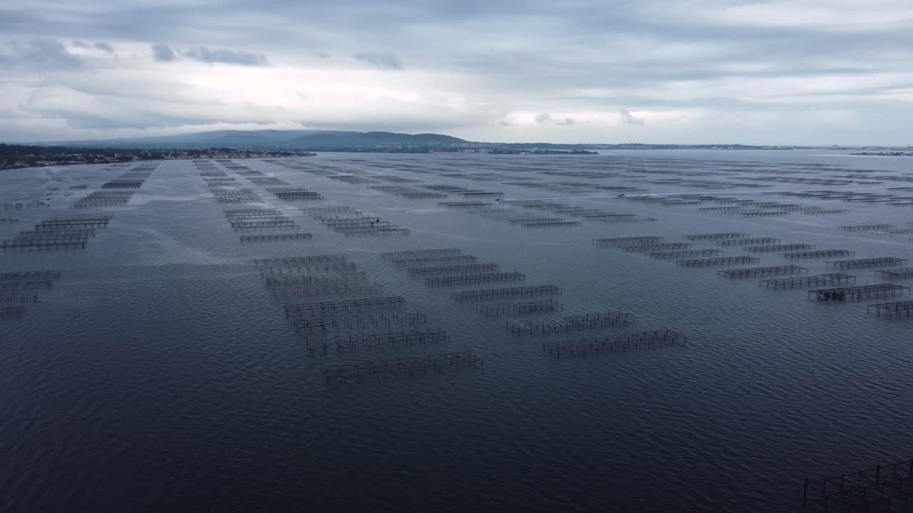 etang de thau의 팬샷: 도시 sete 근처의 프랑스 occitania 지방에서 굴, 홍합 및 조개의 수확 및 판매