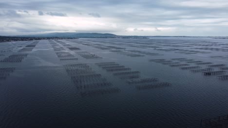 Panshot-of-the-Etang-de-Thau:-harvest-and-sale-of-oysters,-mussels-and-clams-in-the-french-province-of-occitania-near-the-city-Sète