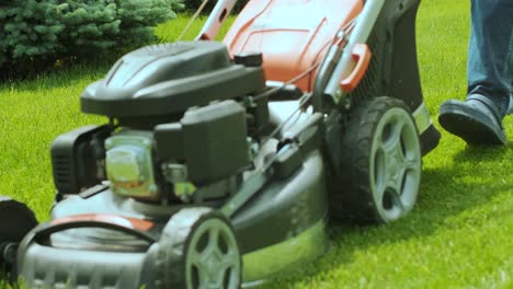 lawn mower cutting the grass. gardening activity. cutting grass with petrol driven lawn mower in sunny garden. gardener working with  mower machine in the garden. lawn mower cutting green grass