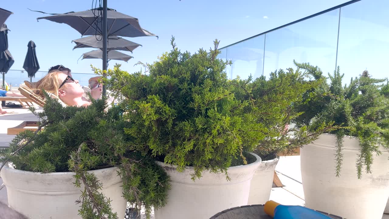 dos personas relajándose detrás de plantas en maceta en una terraza soleada con el mar en el fondo en un día soleado