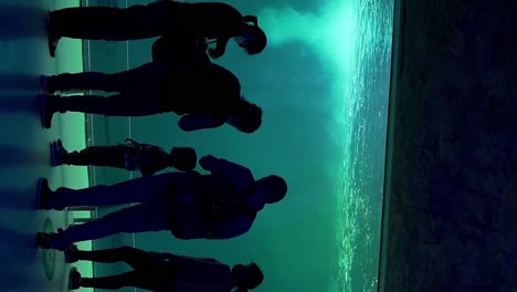 Silhouetten-Von-Menschen-Und-Kindern-In-Einem-Aquarium-Und-Einer-Aquablauen-Umgebung