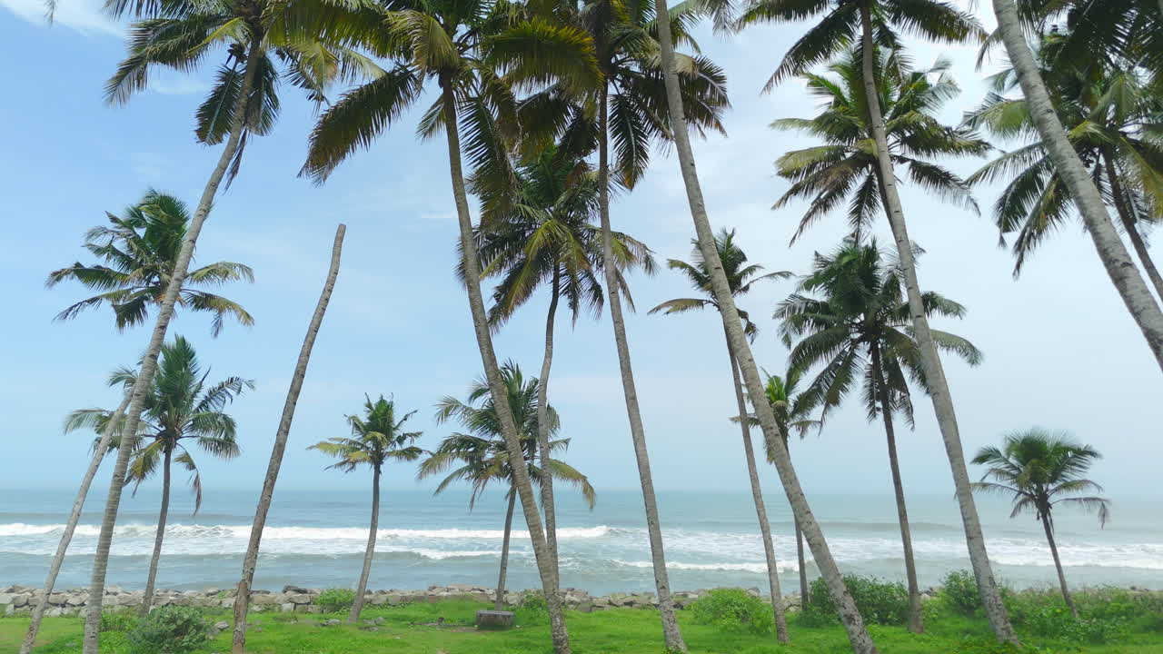 playa de arena blanca tropical en kerala con palmeras de coco