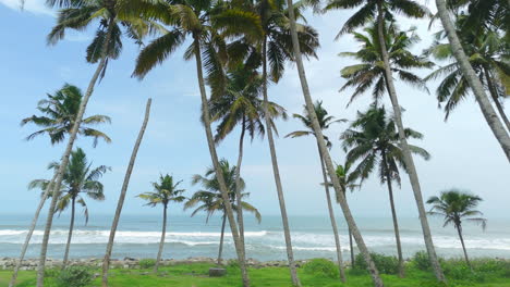 Tropischer-Weißer-Sandstrand-In-Kerala-Mit-Kokospalmen