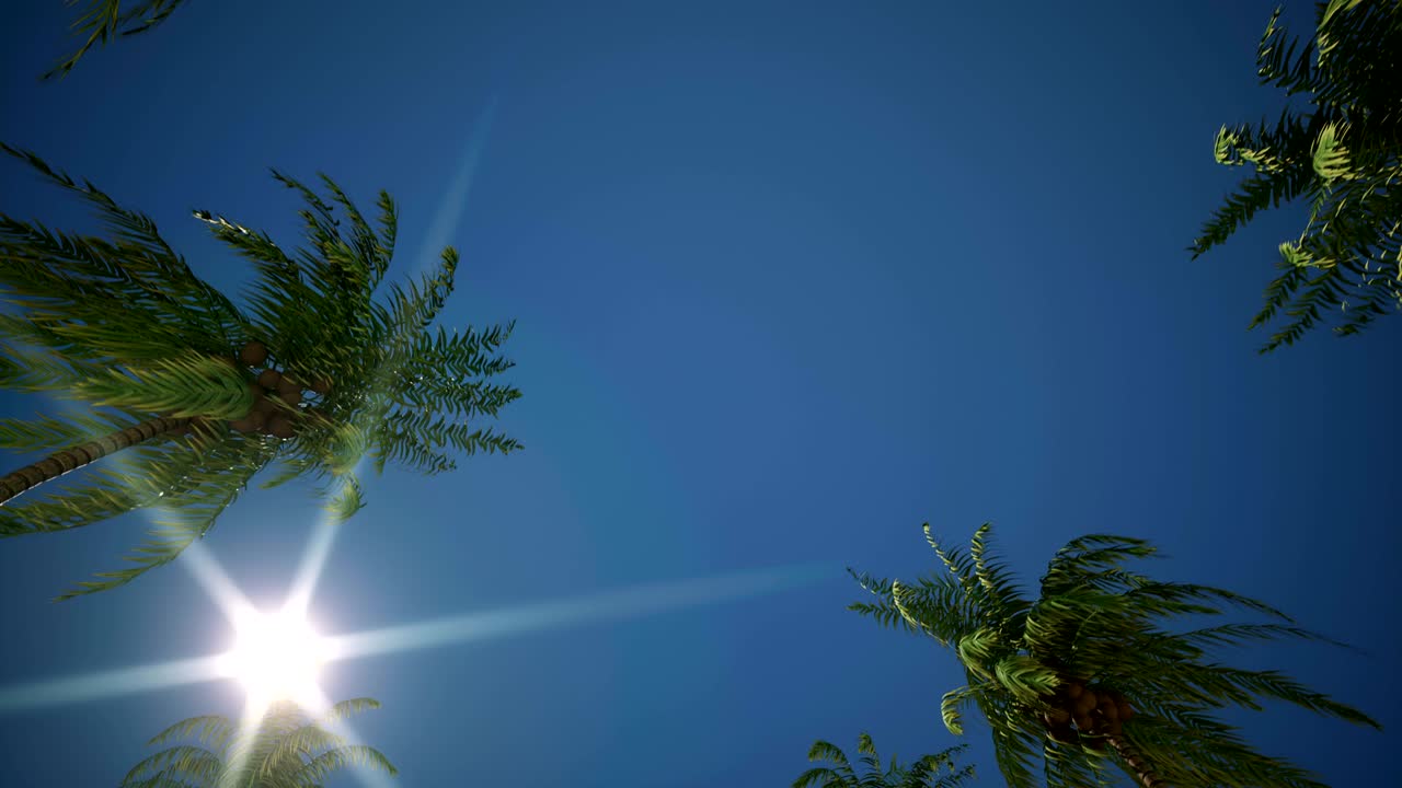 나무 골목을 가로질러 운전