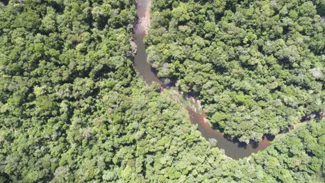 Erstaunlicher-Fluss-Mitten-Im-Dschungel