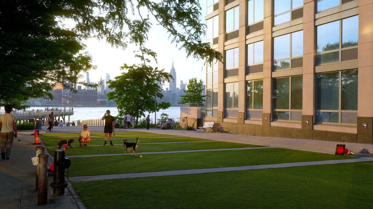 New York, USA, 1 luglio 2026: Parco per cani lungo il fiume con vista sullo skyline di Manhattan. Persone giocano con i cani su erba sintetica vicino a un edificio di vetro che si affaccia sul fiume all'ora d'oro.