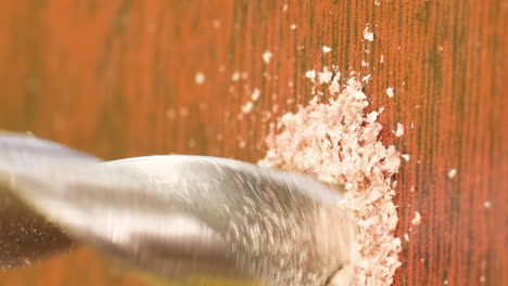 drill twists a screw in wooden board drill twists a screw in wooden board