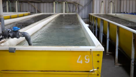 rows of storage tanks for fish and shrimp farming based on modern technology