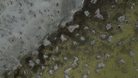 4k60 aerial view of the dried out taarbin lake in western australia