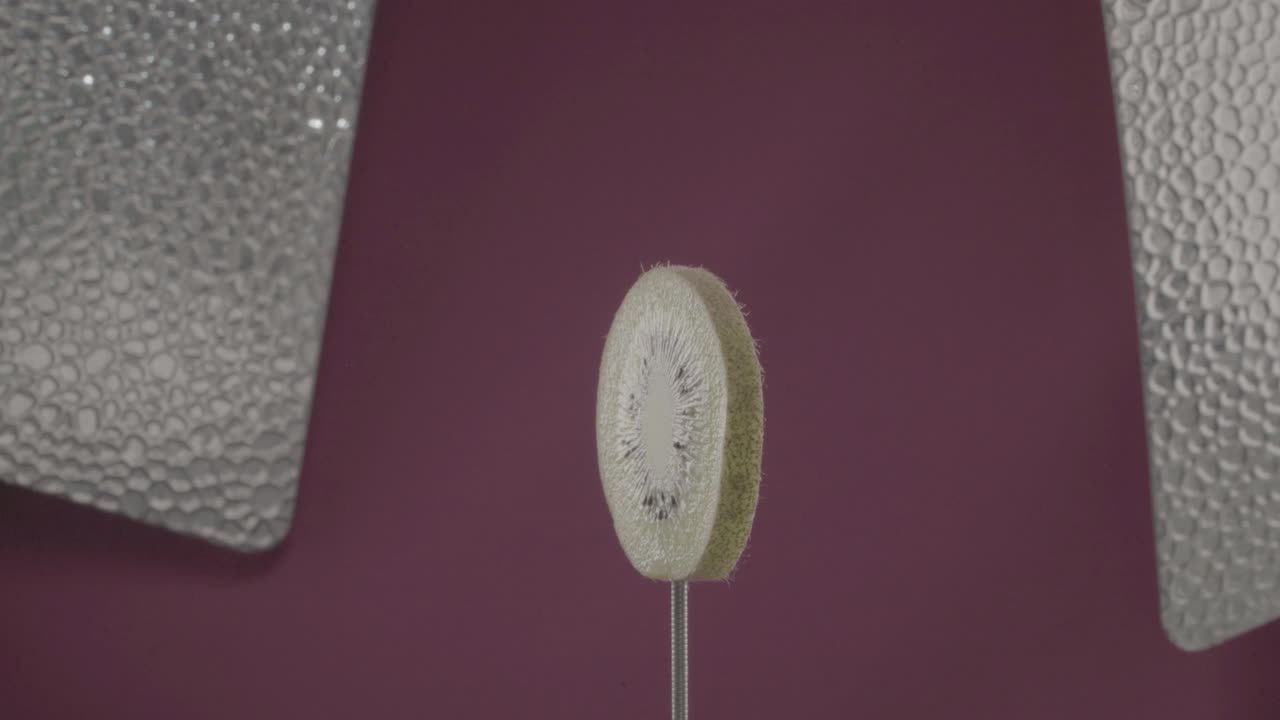 키위 가 크로마 키 를 위한 푸키아 스크린 에 루프 를 고 회전