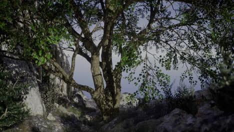 whispers of nature among ancient rocks under a dusky sky