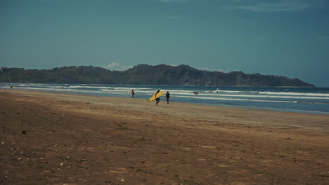 panoramic view of long stretching beach in nosara, costa rica. tropical destination for surfers and water sports enthusiasts.