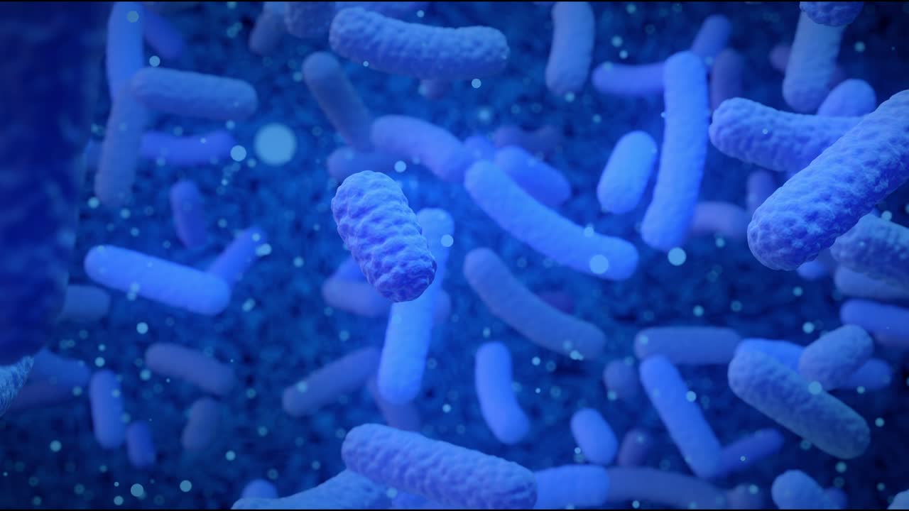 Resistenza agli agenti antibatterici, crescita di batteri nell'intestino, microscopia di batteri