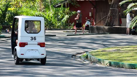 electric tricycle navigating zoo pathways