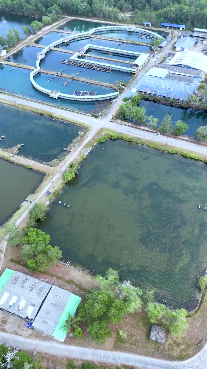 High angle drone shot reveals rectangular aquaculture ponds and processing buildings surrounded by tropical vegetation