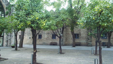 Platz-Des-Maritimen-Museums-In-Barcelona