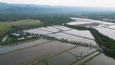 milkfish farm reservoir pond aquaculture aerial forward shot, philippines