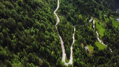 drone shot, top view, of a slovenian country road surrounded by a mountain forest