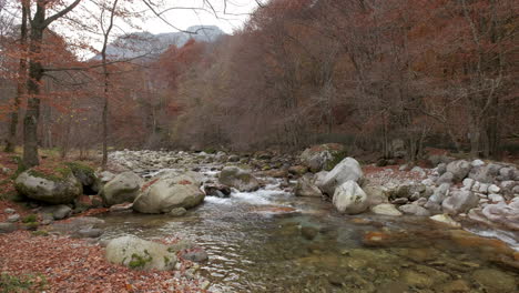 autumn river in mountain forest with yellow and red foliage trees