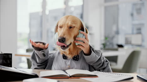 dog in business office